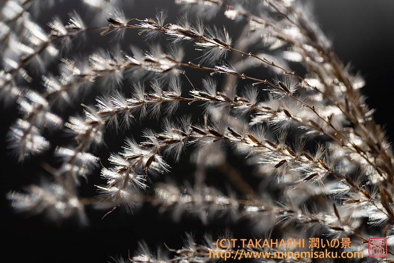 ../Images/7R251123 (35).jpg